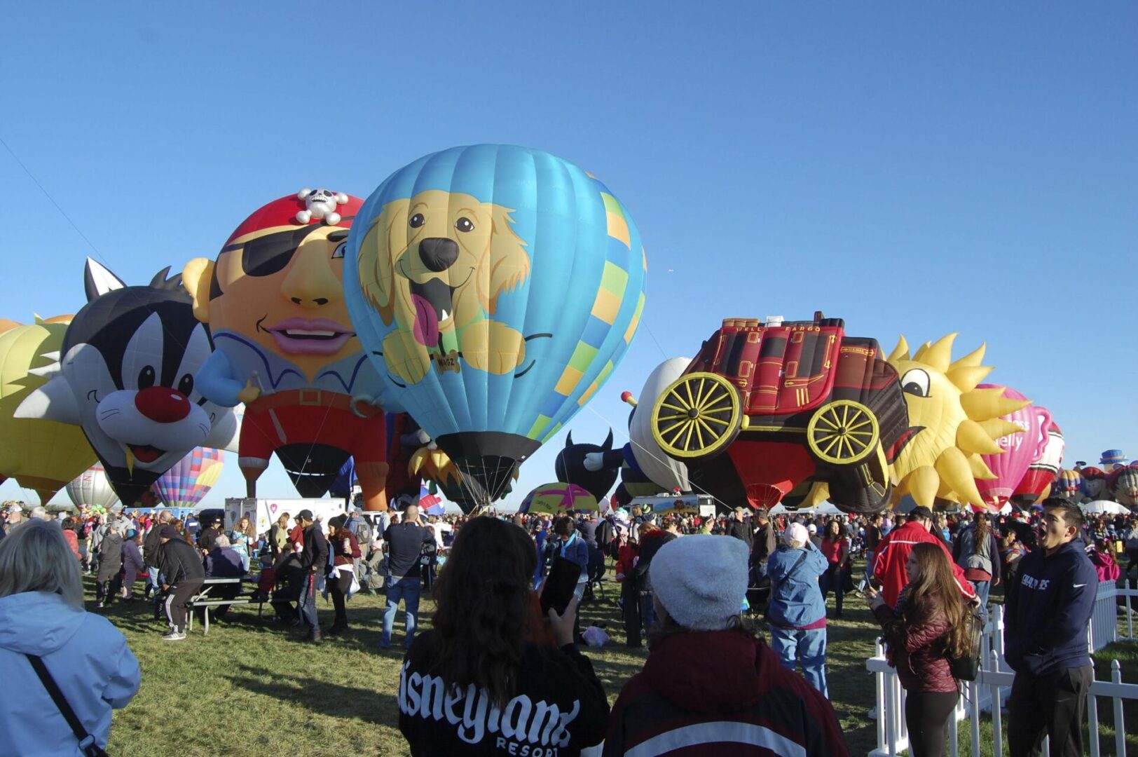 A crowd of people watching hot air balloons being inflated.